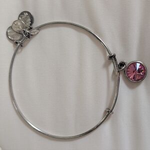 Alex and Ani Silver Bracelet with Pink Charm